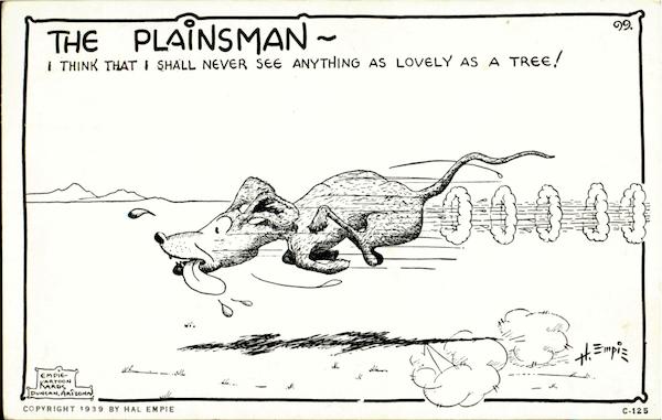 The Plainsman Dogs