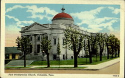 First Presbyterian Church Columbia, TN Postcard Postcard