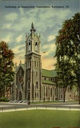 Cathedral Of Immaculate Conception Postcard