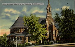 Pro-Cathedral Church Of The Nativity Postcard