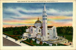 Shrine Of The Immaculate Conception Postcard
