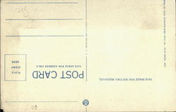 back