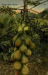 Stock #69243 Thumbnail