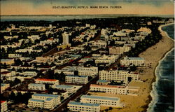 Beautiful Hotels Miami Beach, FL Postcard Postcard