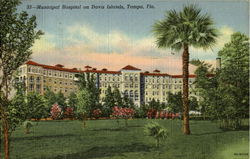 Municipal Hospital On Davis Islands Postcard