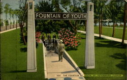 The Fountain Of Youth St. Petersburg, FL Postcard Postcard