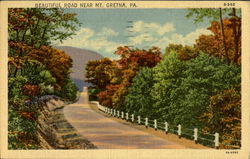 Beautiful Road Near Mt. Gretna Postcard