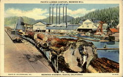 Pacific Lumber Company, Redwood Highway Postcard