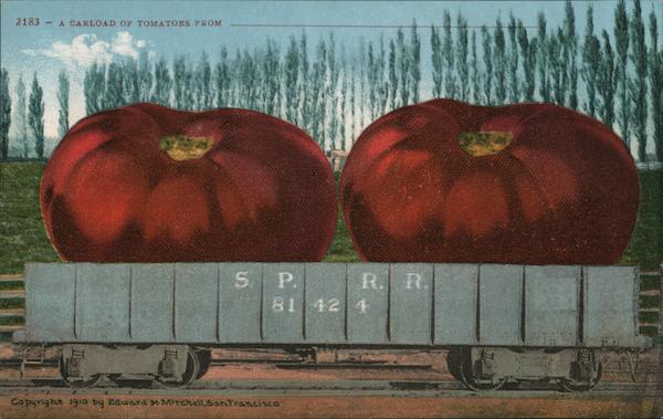 A Carload of Tomatoes Exaggeration