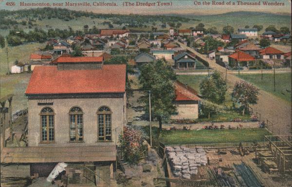 Town View, The Dredger Town Hammonton California