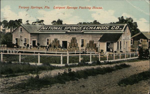 National Sponge & Chamois Co., Largest Sponge Packing House Tarpon Springs Florida