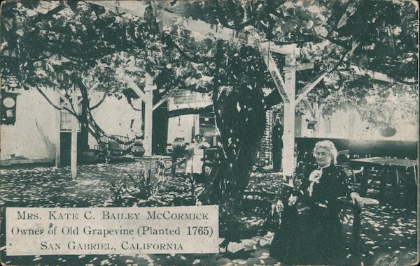 Mrs. Kate C. Bailey McCormick, Owner of Old Grapevine San Gabriel California