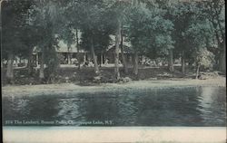 The Lenhart, Bemus Point Chautauqua Lake, NY Postcard Postcard Postcard