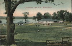 Sylvan Park Chautauqua Lake, NY Postcard Postcard Postcard