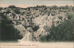 Placer Gold Fields Postcard