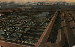 Bird's Eye View, Chicago Stock Yards Postcard