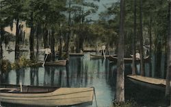 Boating in the Lake at Greenfield Park Postcard
