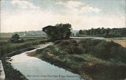 West Canada Creek from Creek Bridge Postcard