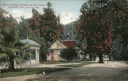 Mineral Springs, Fountain and Bath House, Alum Rock State Park Postcard