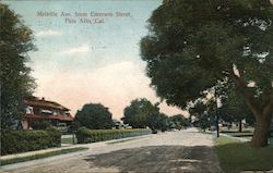 Melville Ave from Emerson Street Palo Alto, CA Postcard Postcard Postcard