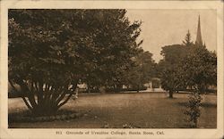 Grounds of Ursuline College Postcard