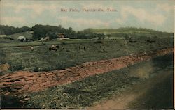 Hay Field Fayetteville, TN Postcard Postcard Postcard