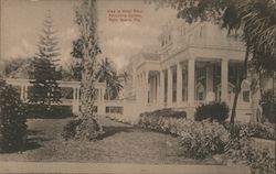 View in Hotel Royal Poinciana Garden Postcard