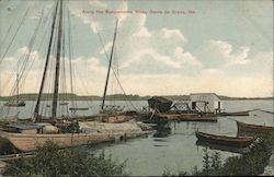 Along the Susquehanna River Havre de Grace, MD Postcard Postcard Postcard