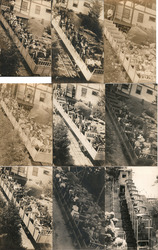 Lot of 9: Groups of People on Manitou Incline Tram #9 Postcard