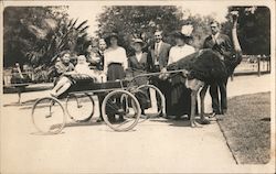Group with an ostrich cart Postcard