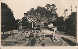 Los Angeles Ostrich Farm Carriage Postcard