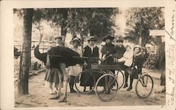 People posing with ostrich cart, Cawston Ostrich Farm Postcard