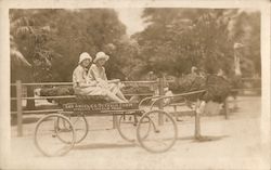 Los Angeles Ostrich Farm Girls on Cart Postcard