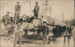 Lumberjacks, Men Logging, Horses Postcard