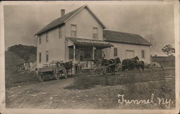 Grange Mercantile Co. Milk Delivery Wagons Tunnel New York