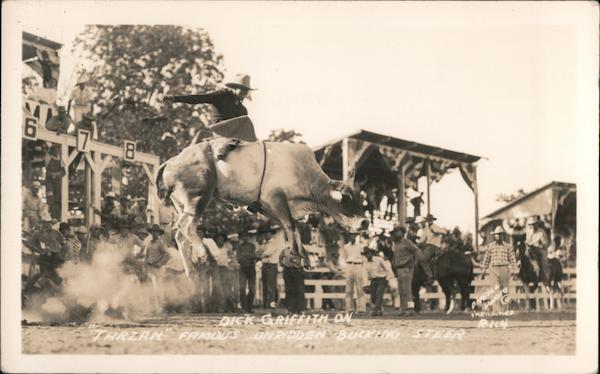 Dick Griffith on Tarzan Famous Unridden Bucking Steer