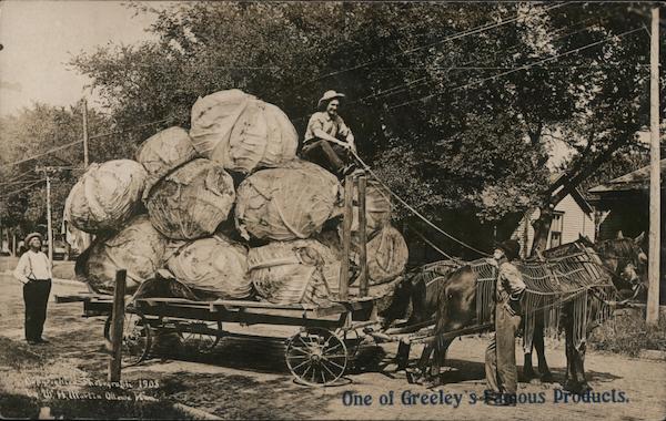 One of Greeley's Famous Products. W. H. Martin Exaggeration