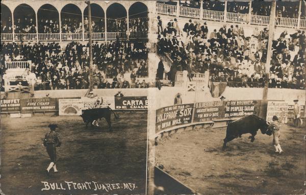 Bull Fight Juares Mex Juarez Mexico