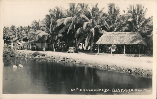 Palm trees at the waterfront Acapulco Mexico