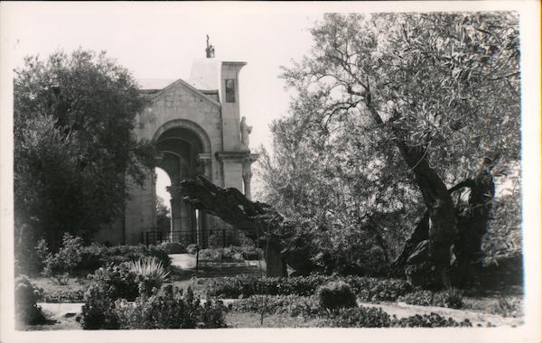 Garden of Gethsemane Jerusalem Israel Middle East