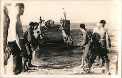 Sea Bees Build Rampways From Large to Shore Postcard