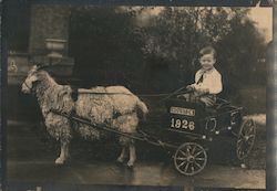 Boy in Goat Cart - Houston 1926 Postcard