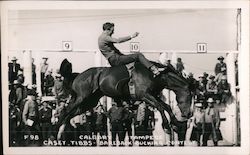 Calgary Stampede, Casey Tibbs, Bareback Bucking Contest Postcard