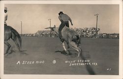 Steer Ride Sweetwater, TX Rodeos Postcard Postcard Postcard