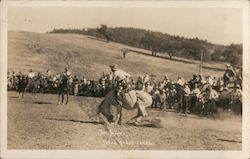 Joe Flores, Julien Rodeo 1931 Postcard