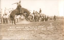 Bill White on "Ace In Hole" Cheyenne Frontier Days, 1937. Postcard