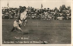 "Let'er Buck" Easy to Ride Round Up Rodeo Postcard