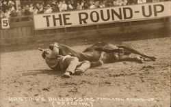 Hastings Bulldogging, Pendleton Round-Up Postcard