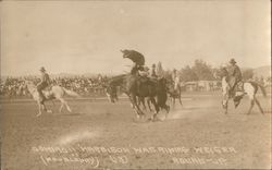 Domino!! Harbison was Riding Weiser Postcard