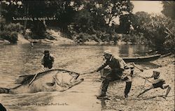 Landing a Good One Exaggeration W. H. Martin Postcard Postcard Postcard